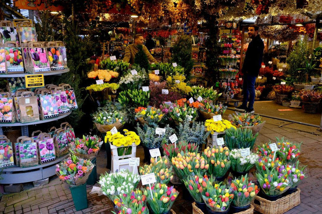 Bloemenmarkt trznica cvijeca amsterdam