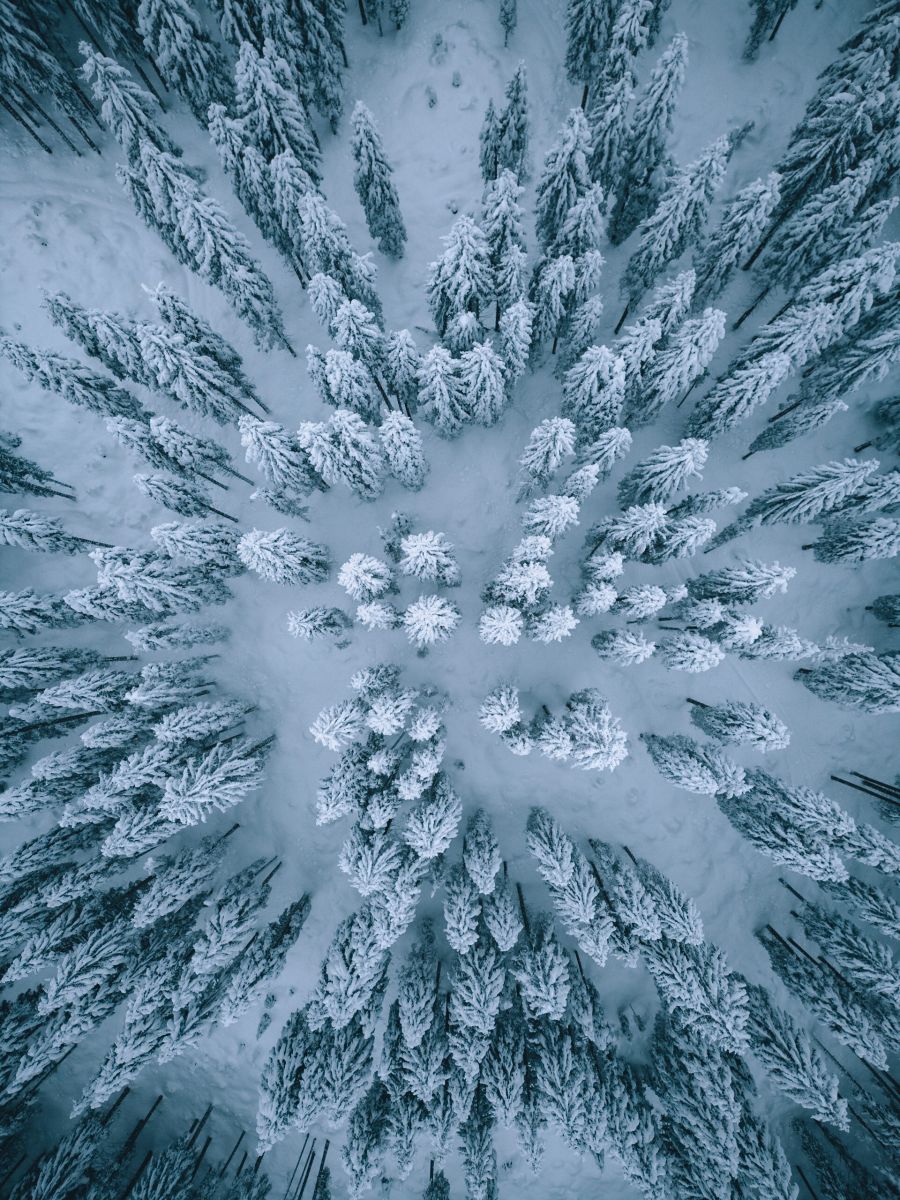 slovenija nacionalni park triglav izlet