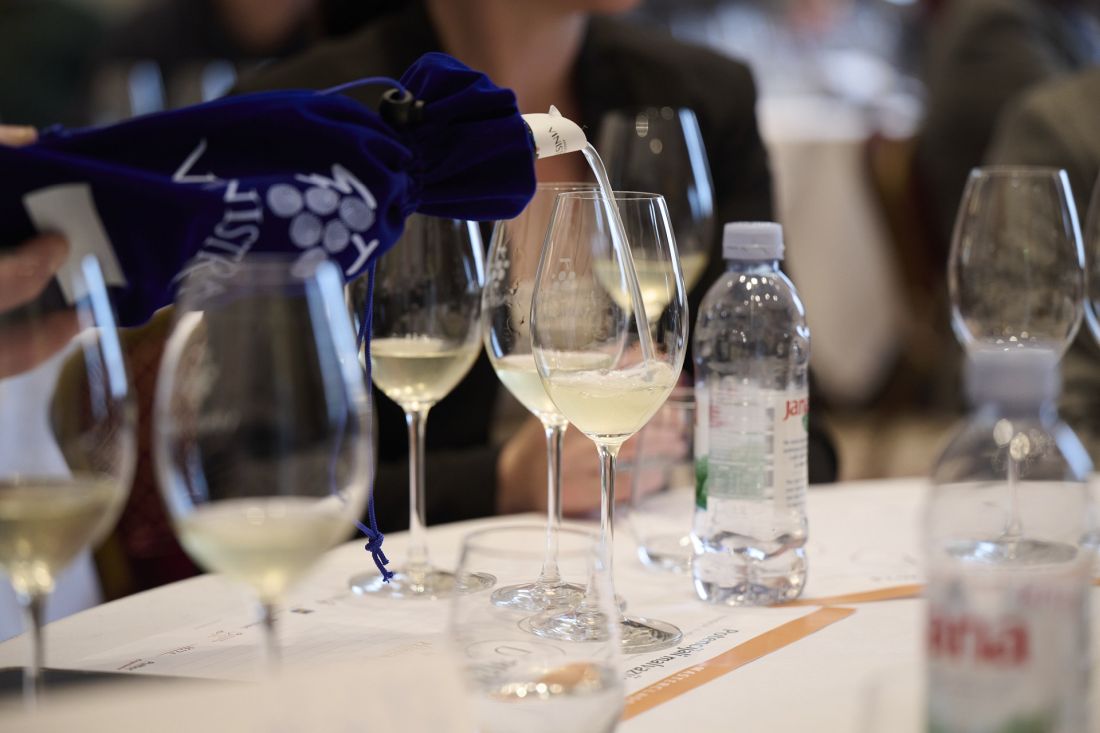 en-premieur-malvazija-2