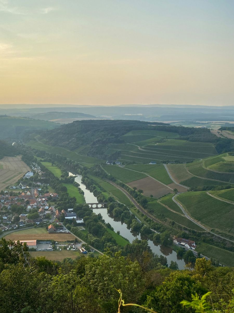 njemacki vinogradi Lemberg, Deutschland vina njemacke