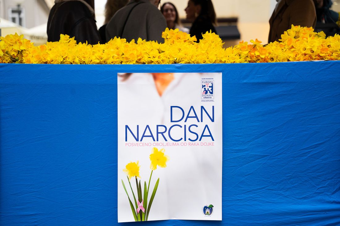 dan-narcisa-04