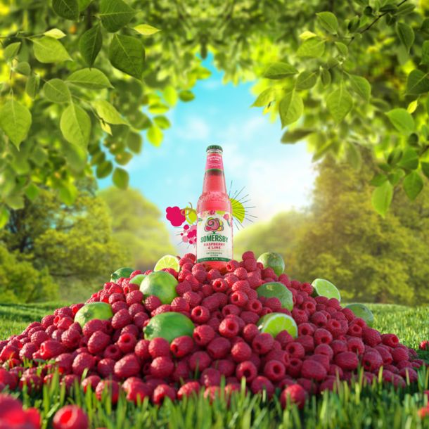cider-broj-1-2