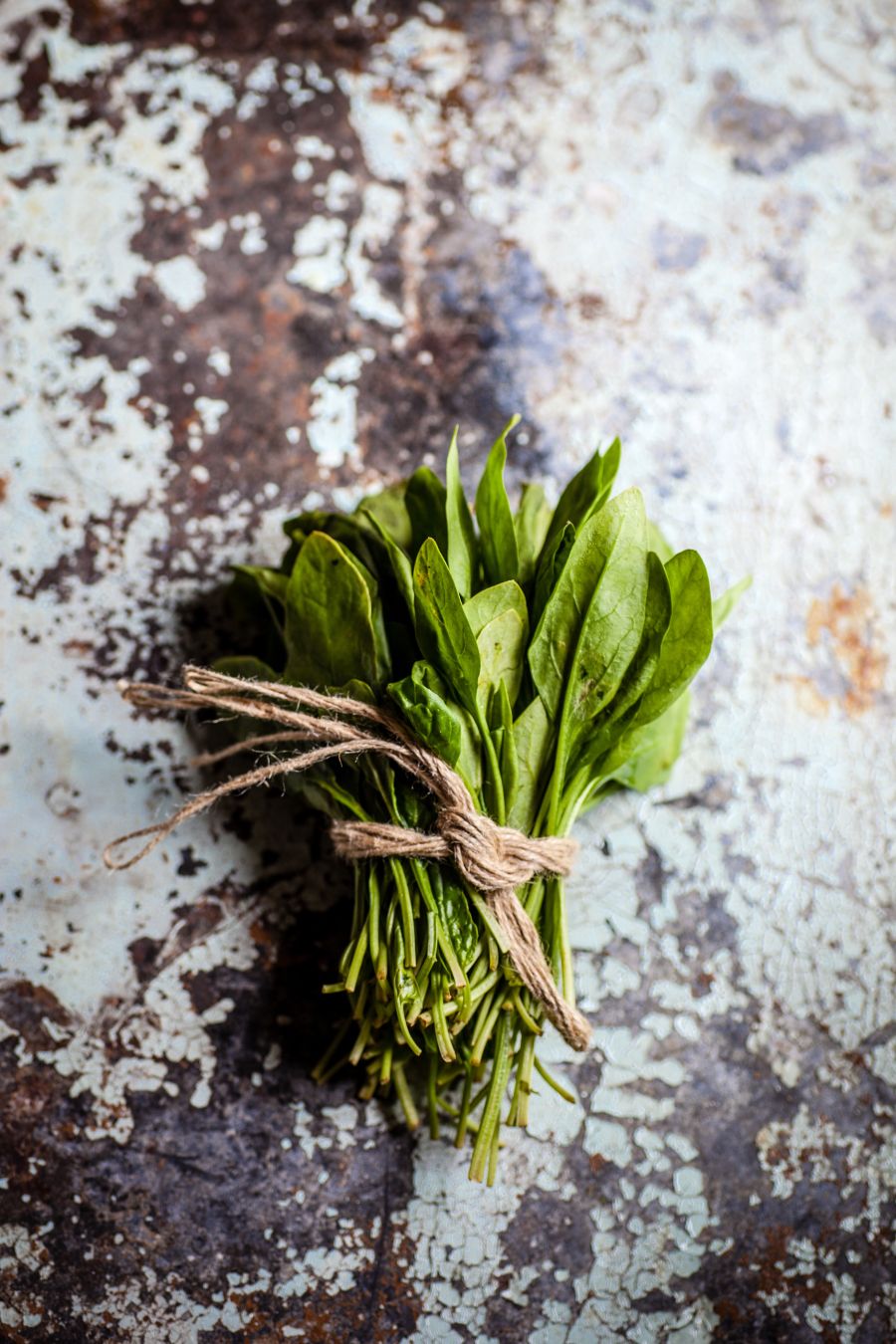 medvjedi luk sumski luk superfood samoniklo jestivo bilje hrana