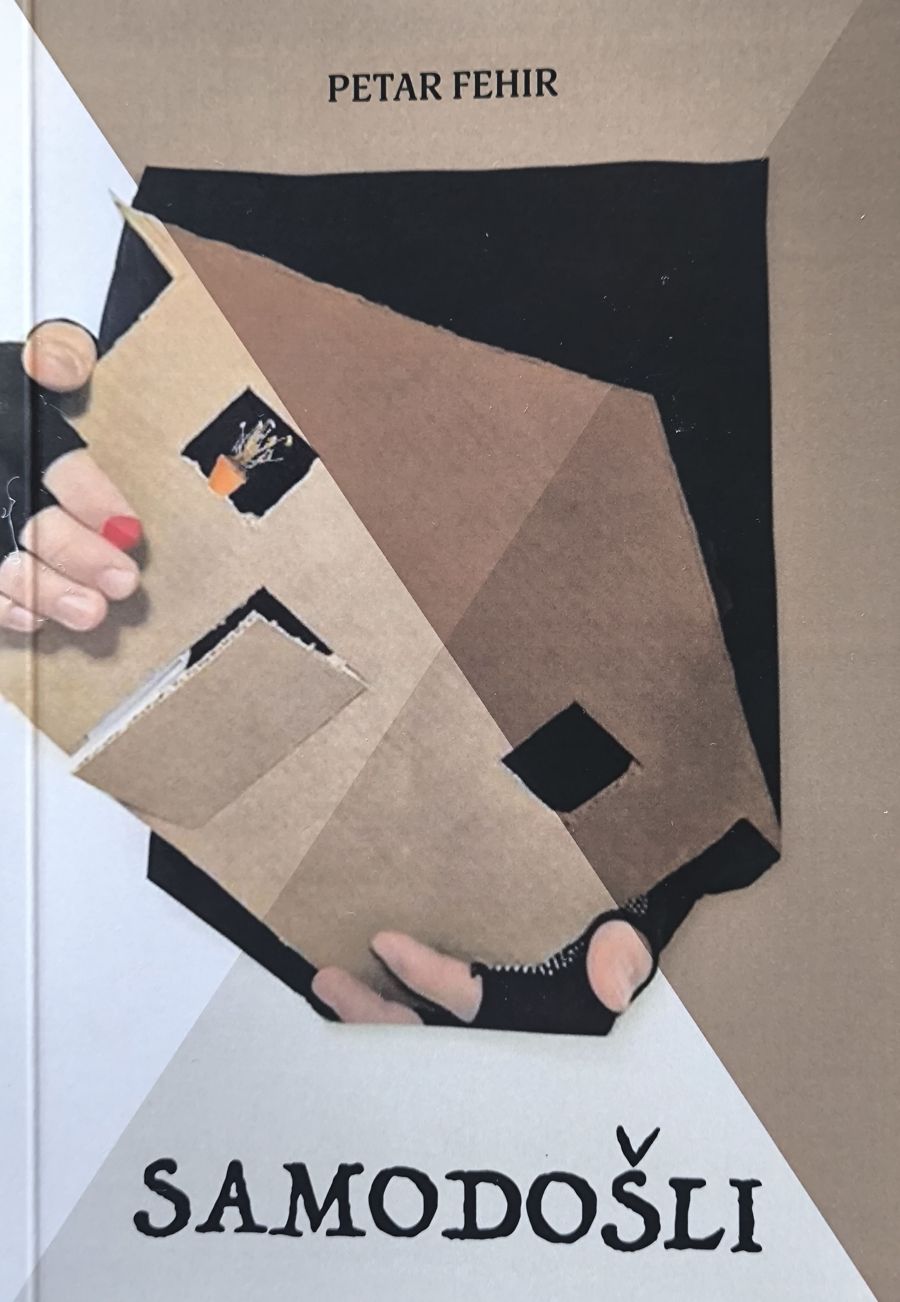 samodosli knjiga roman