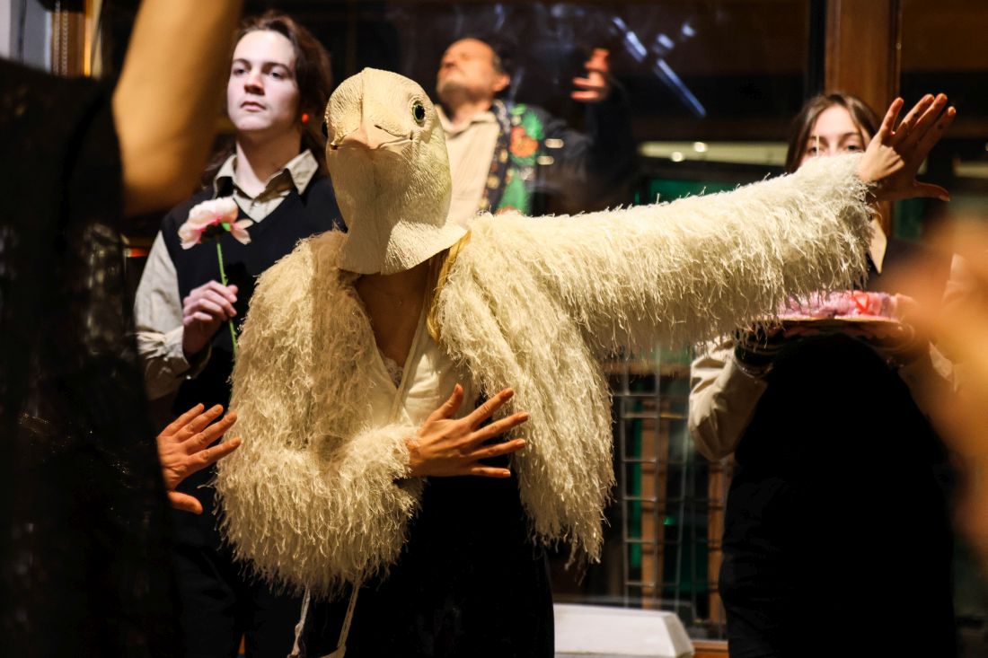 breza krleza predtsva olga vujovic recenzija