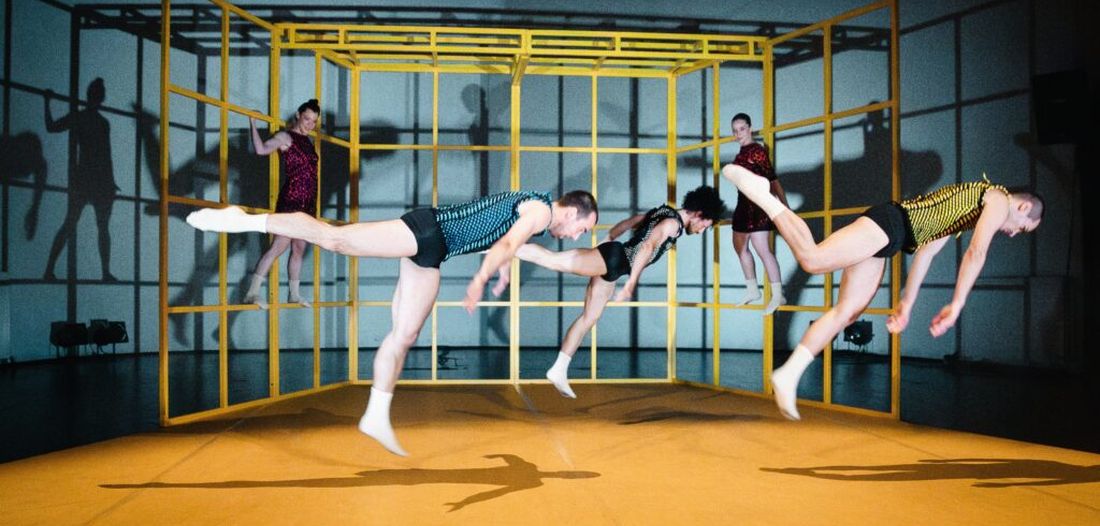 Žuti kavez ljubomore