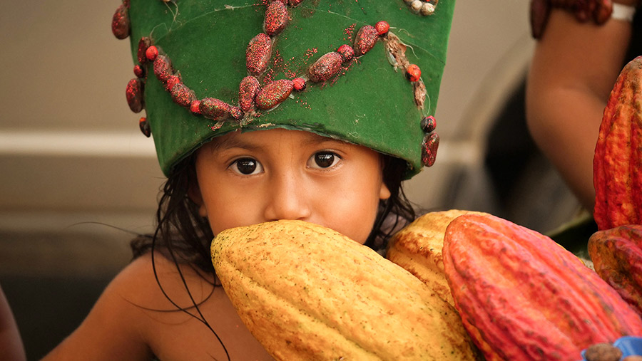 fair trade zotter kakao cokolada