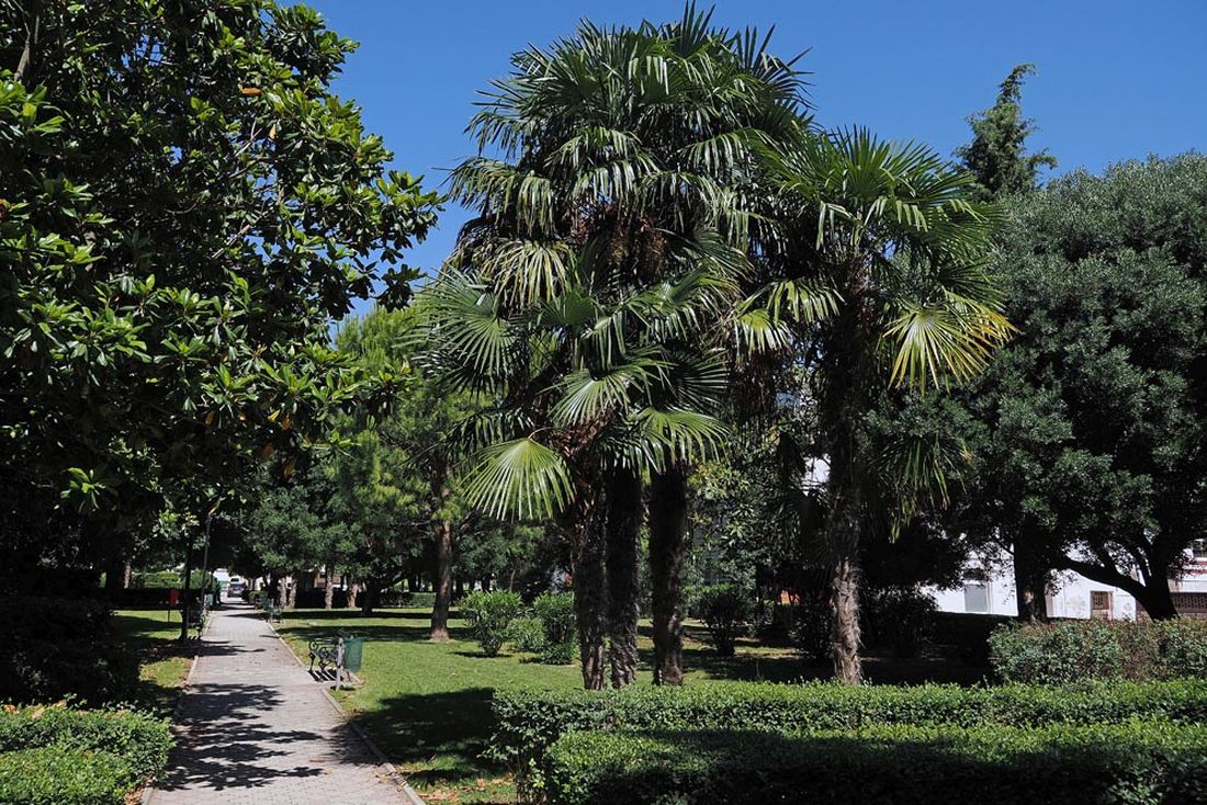 grad ploce park riva