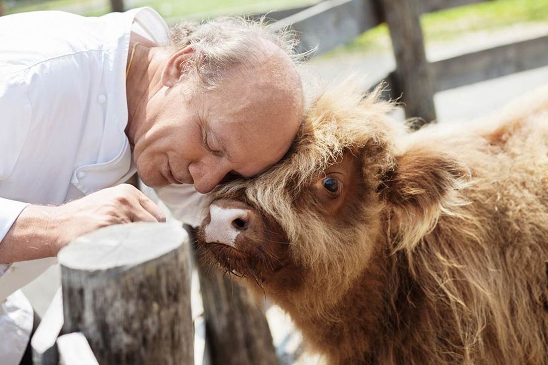 josef Zotter tvornica cokolade austria