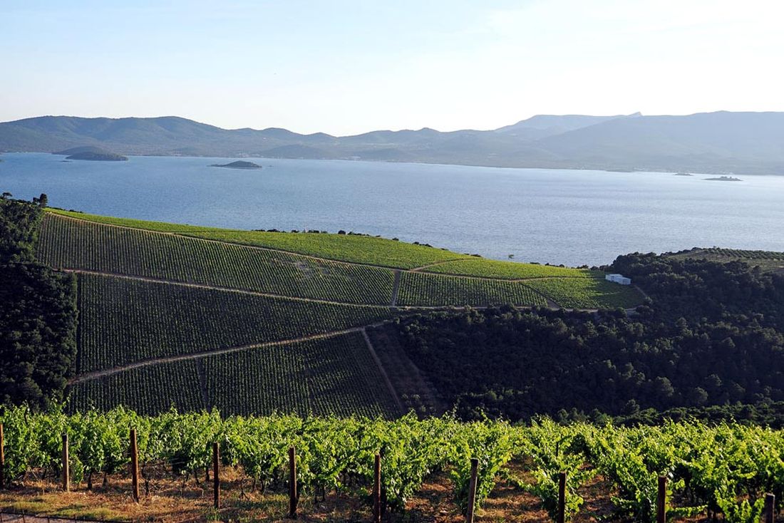vinogradi grad ploce rijeka neretva