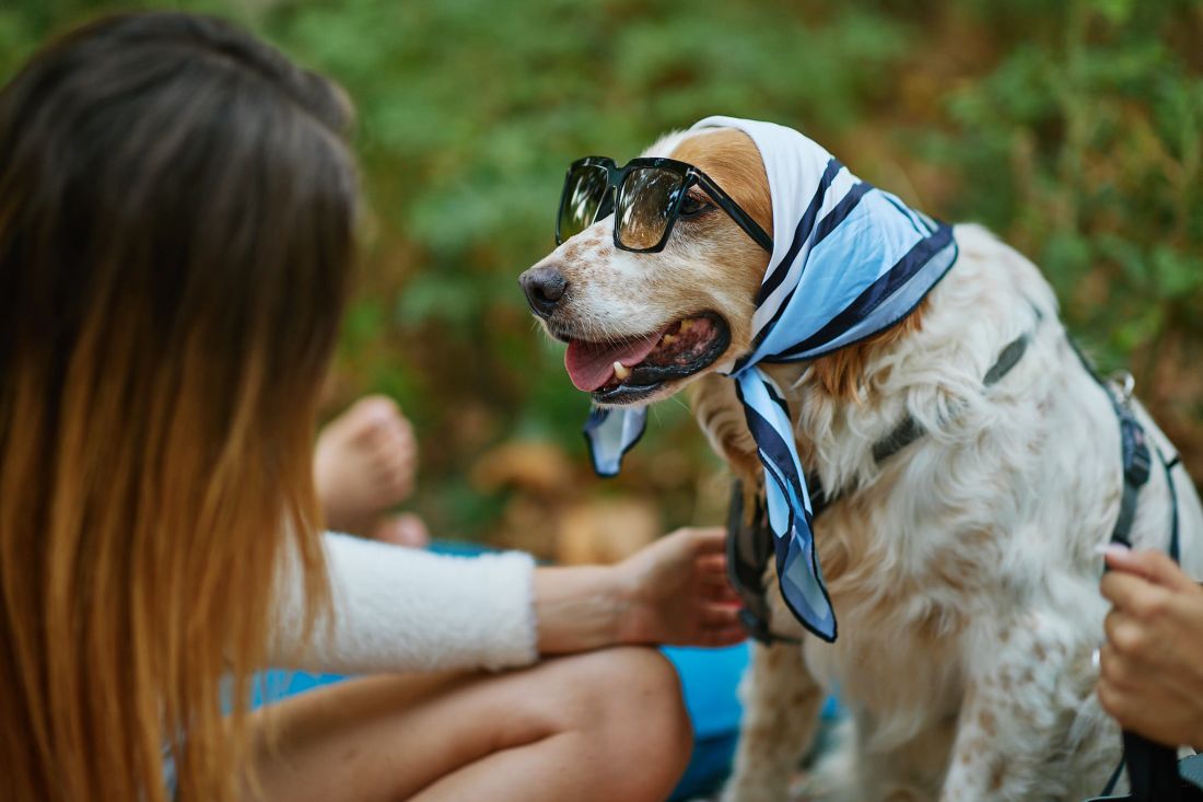zagreb dogadanja piknik sa psom
