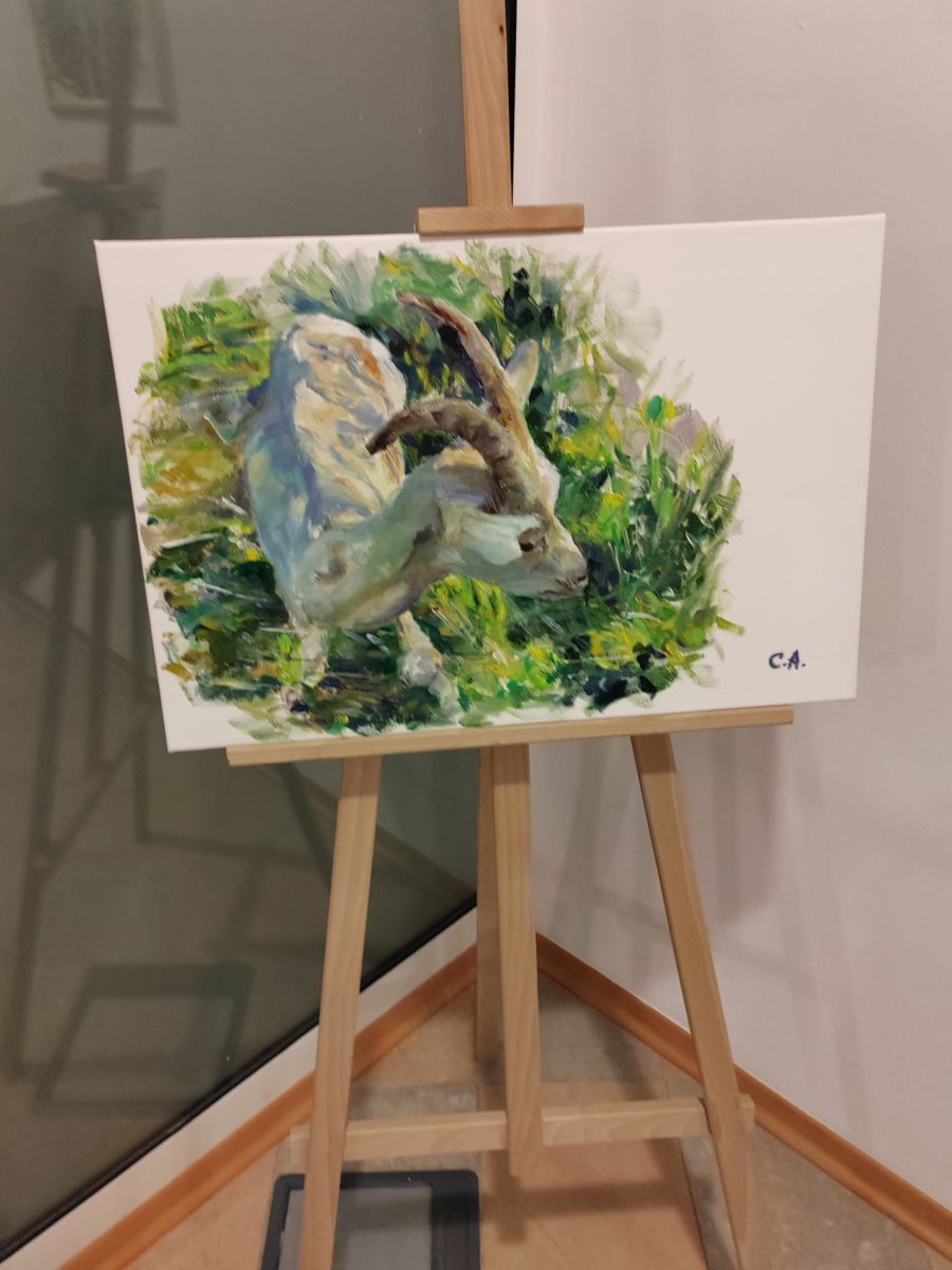 profil koze slika cintia asperger