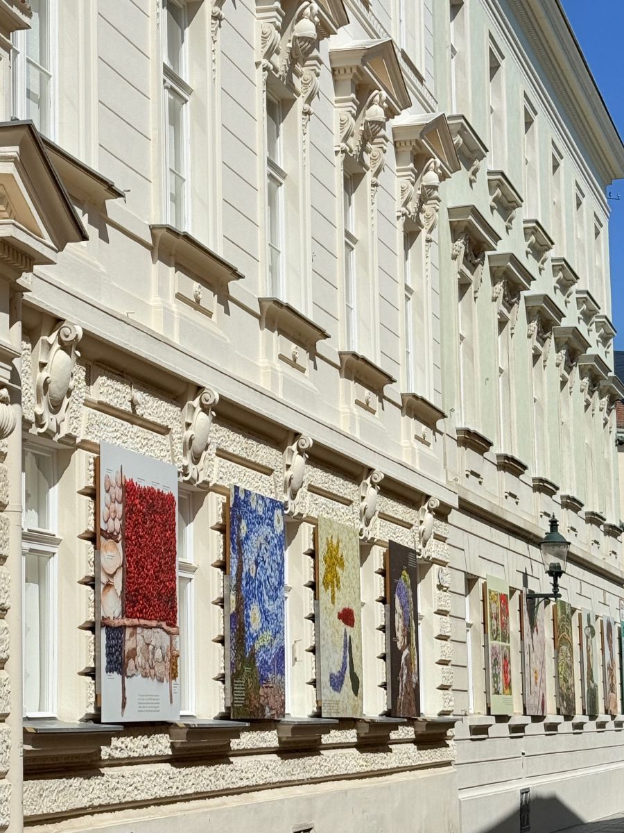 terme baden viena izlozba