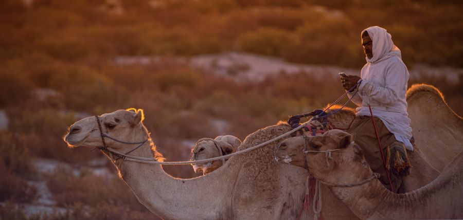 zemlja eritreja afrika deva