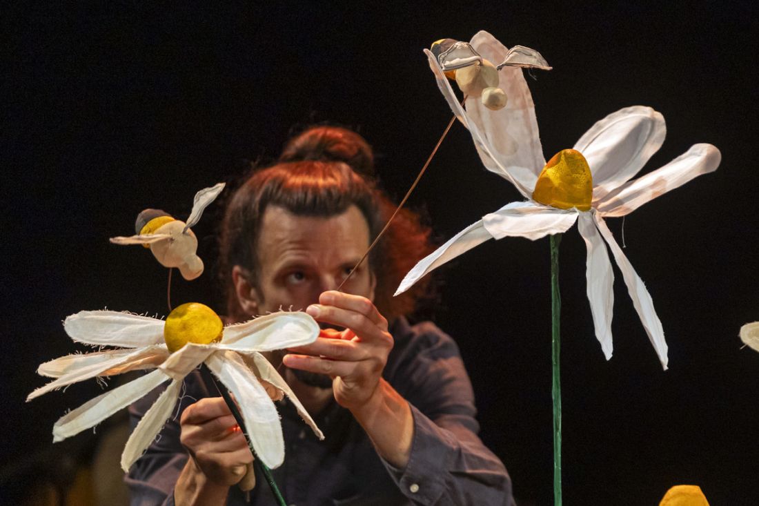 Nika Bezeljak predstava dobro jutro travnik livado