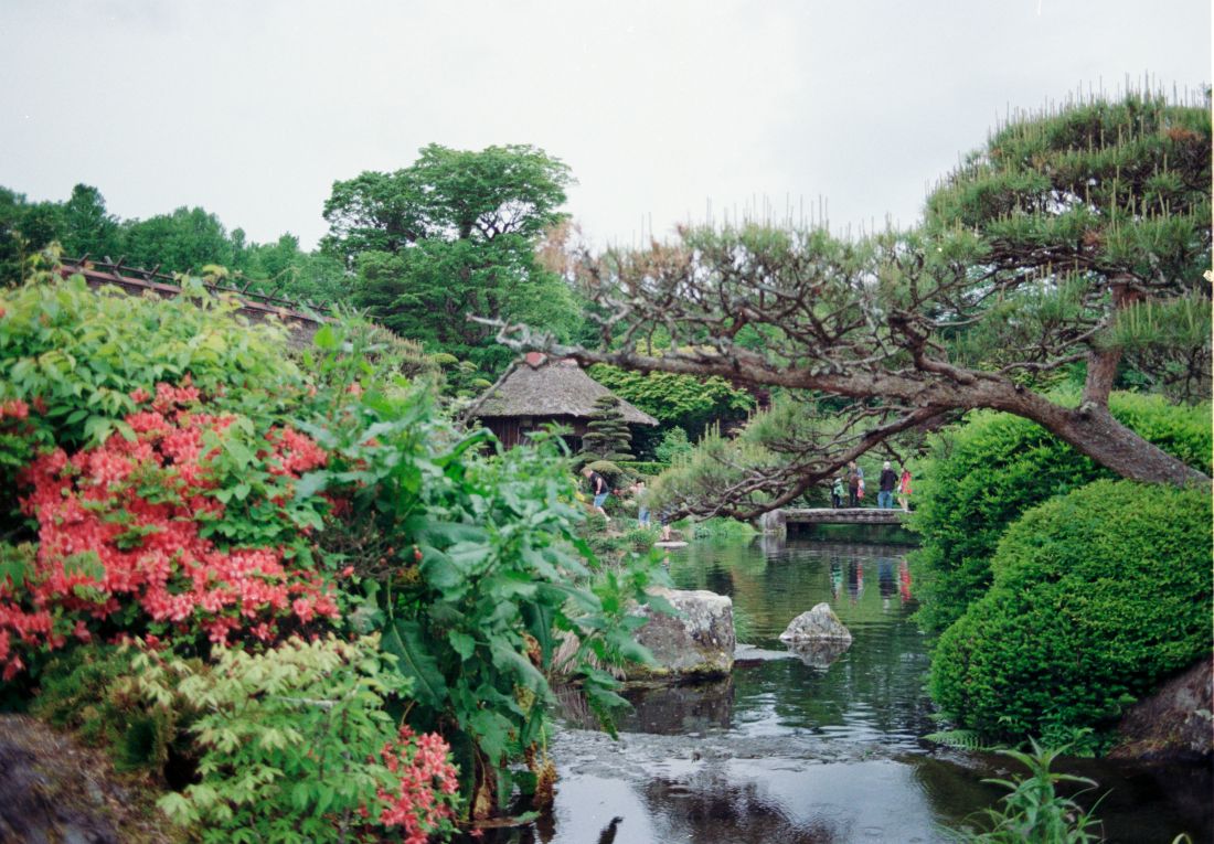 botanicki vrt kyoto putovanje japan