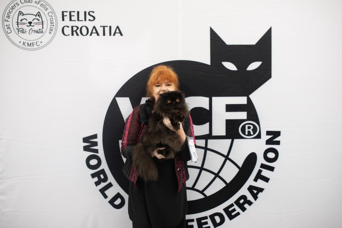 izlozba macaka 2025 Felis Croatia, Gordana Radić, dizajnerica