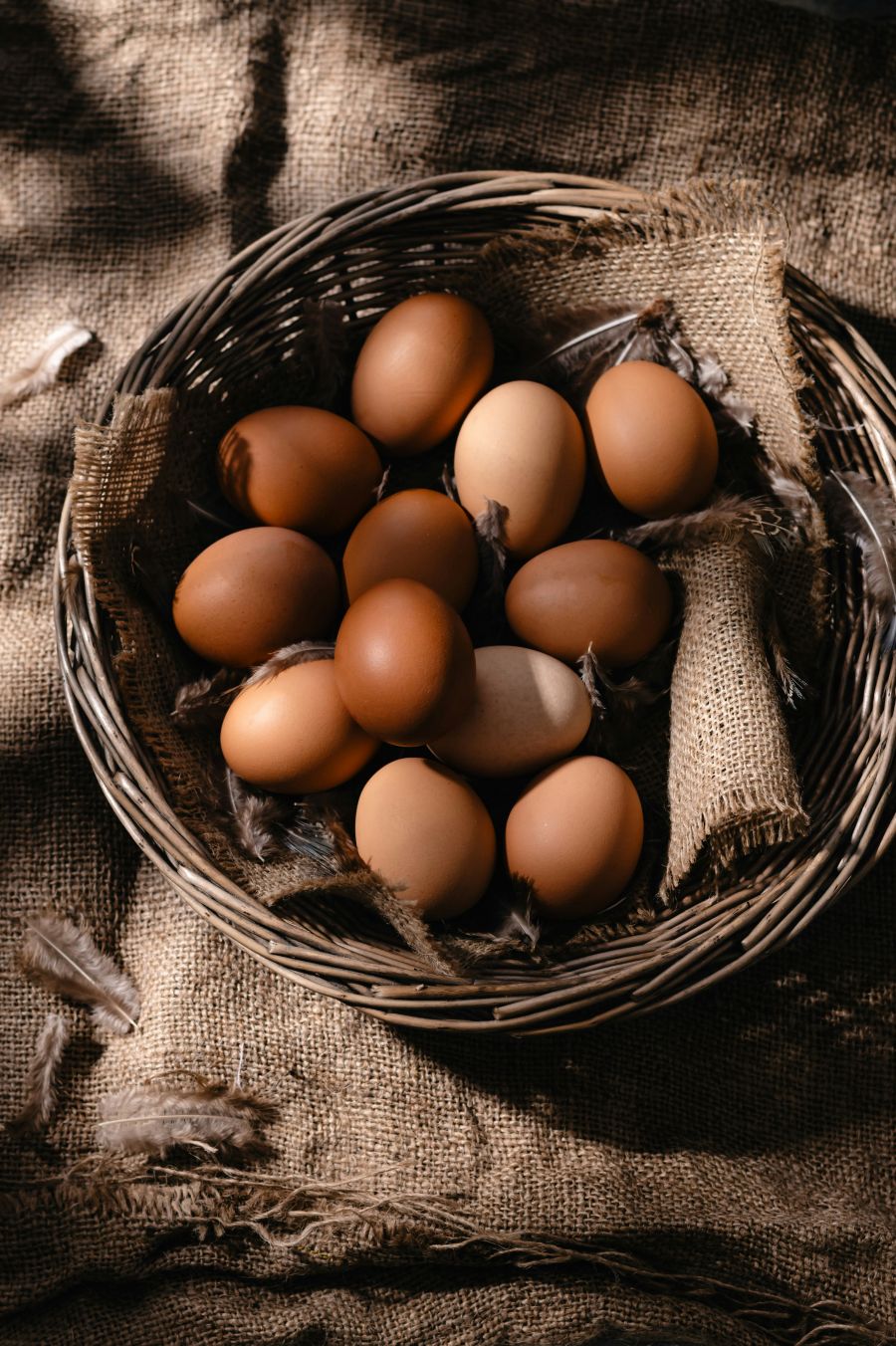 kokosja jaja nutritivne vrijednosti jaja smijemo jesti