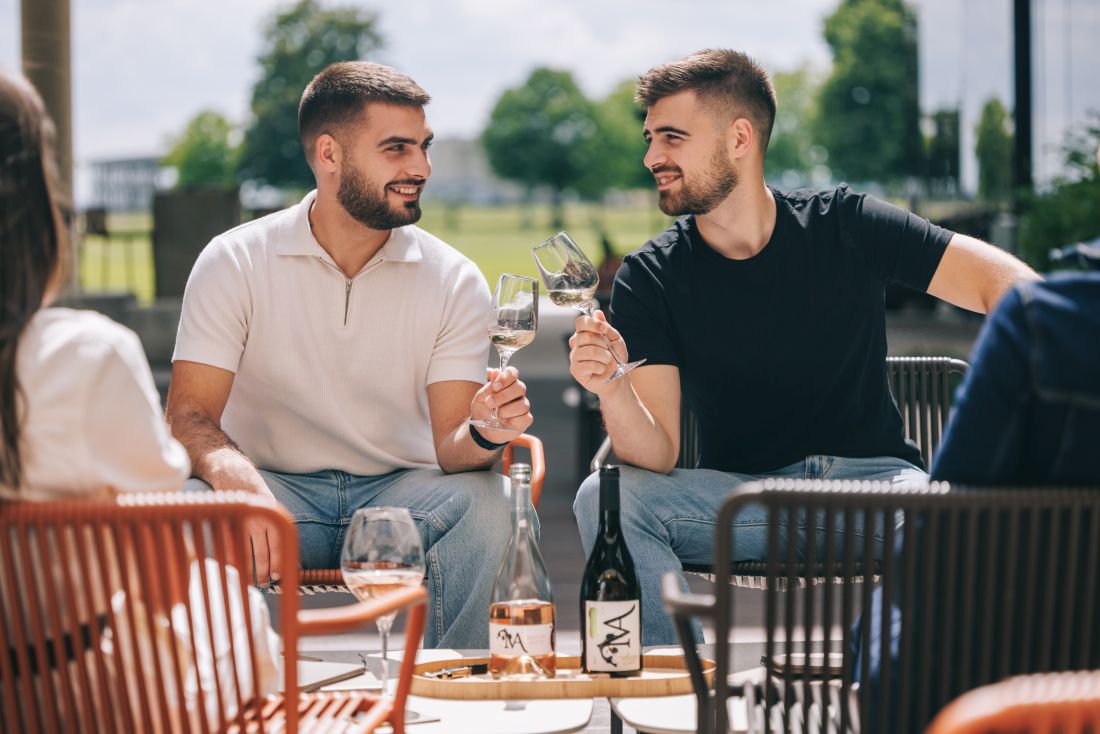 martin albus vina slavonije