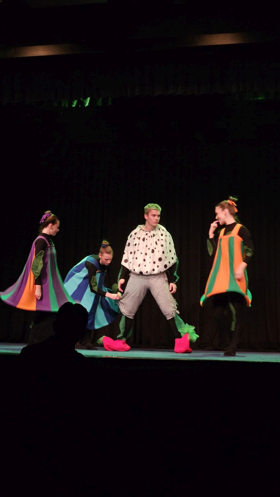 ni med plesna predstava