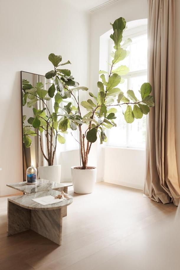 skincare-atelier.koza_10