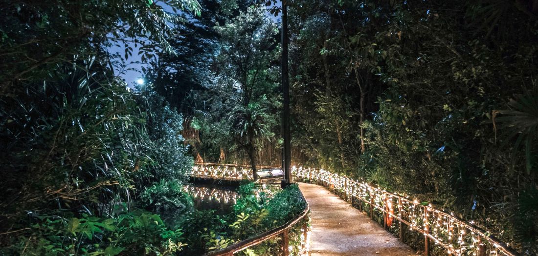 putovanja nocno putovanje turizam