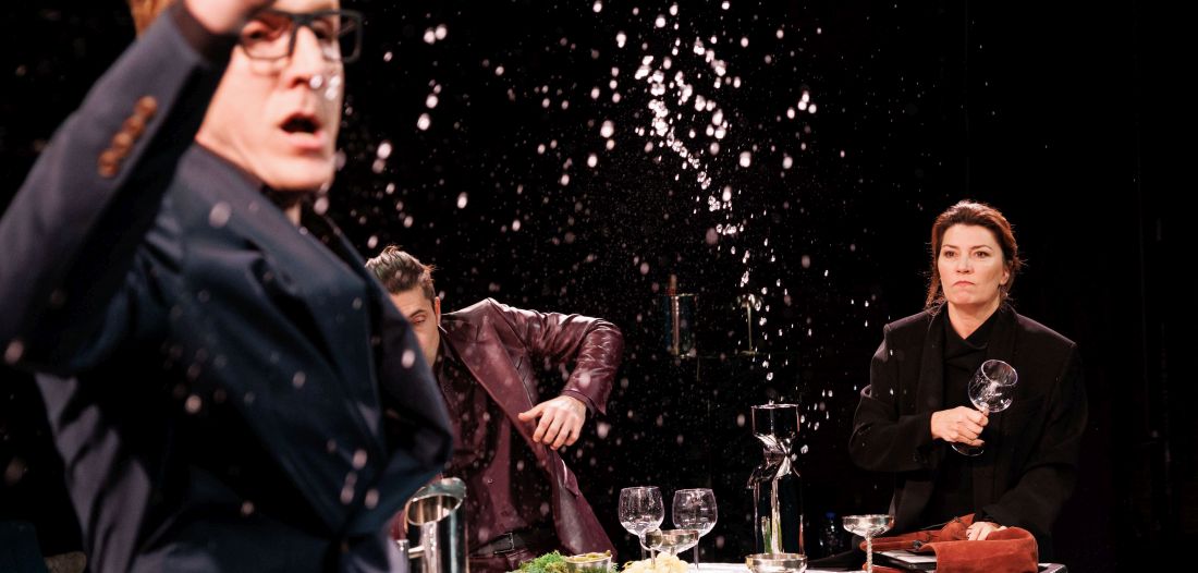 Privatna proslava - predstava recenzija olga vujovic