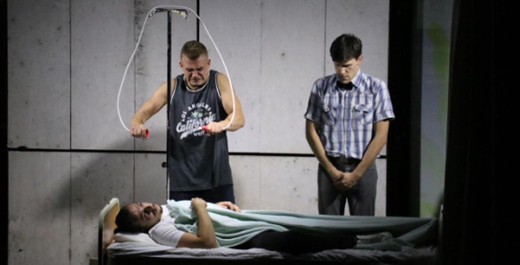 Poletarci već lijepo lete