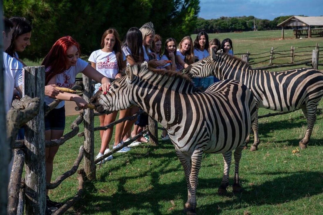 kraljica-hrvatske-2025-rovinj-2