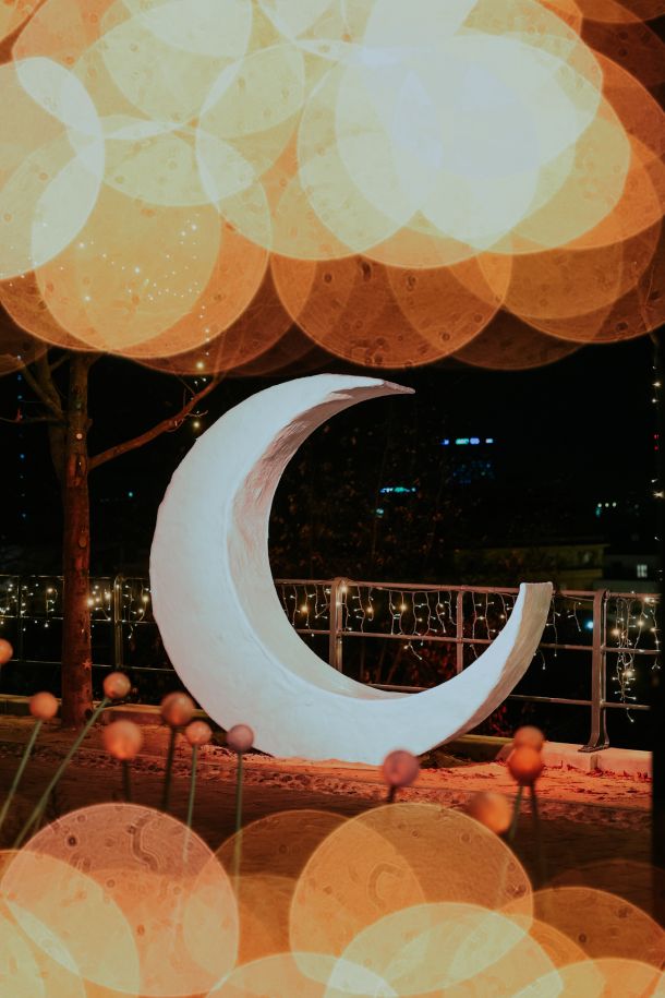 mjesecev-vrt-instalacija-4