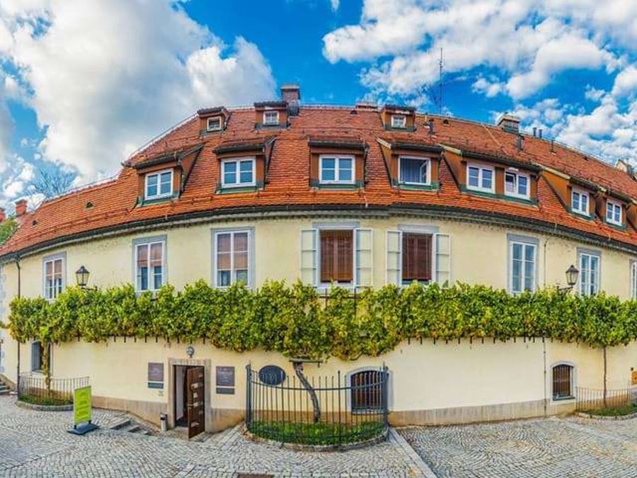 najstarija vinova loza maribor muzej vina