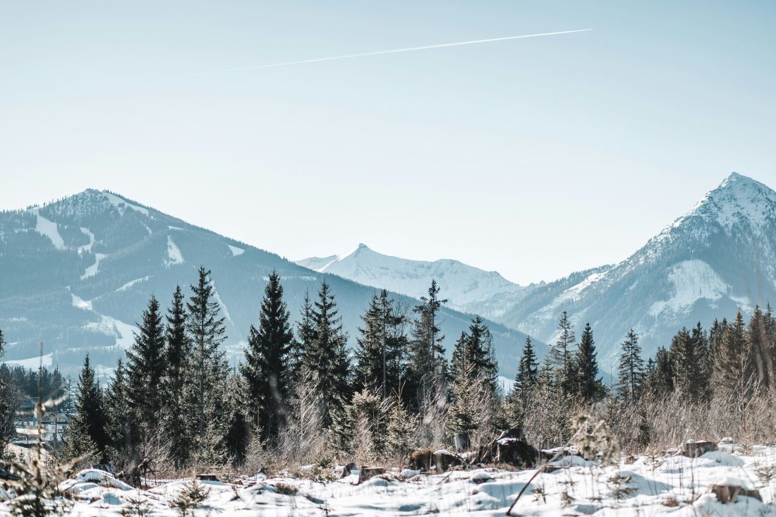 austrija feld am see bad kleinkirchenheim