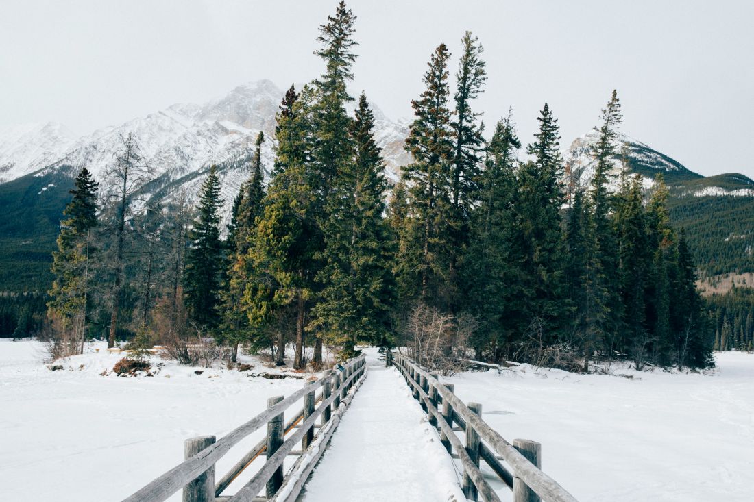 feld am see austrija biciklsticke staze