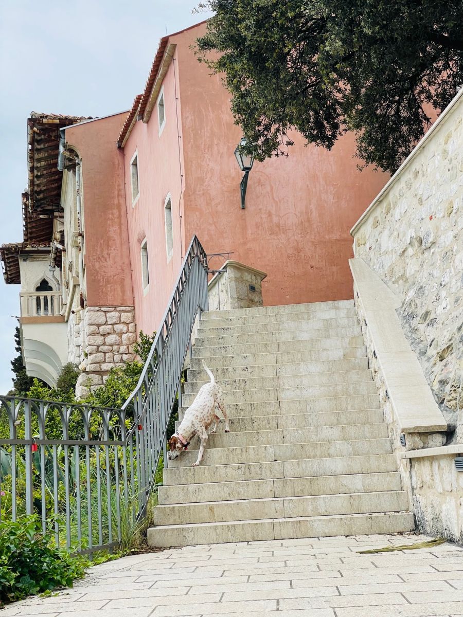 grad rab pas pticar instagram influenser Louis