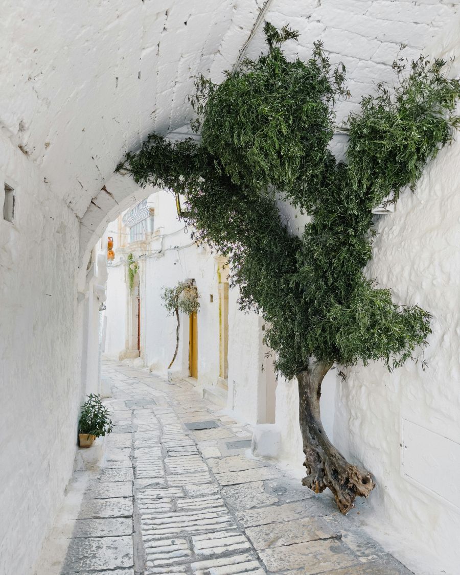 italia ostuni bijeli grad apulija putovanje odmor