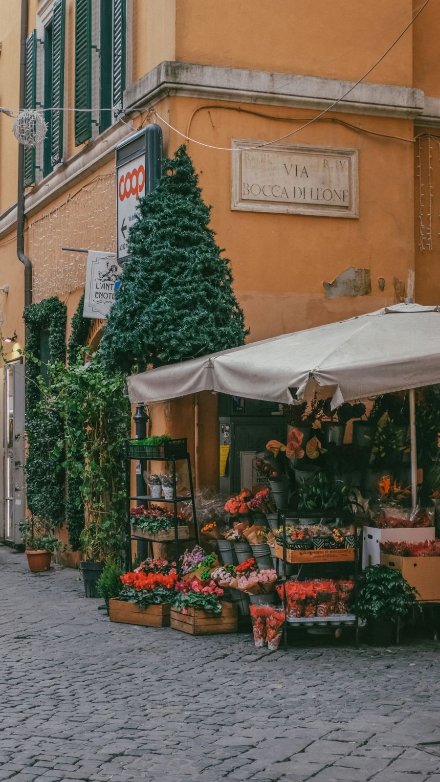 putovanje glavni grad italije rim cvjecarna
