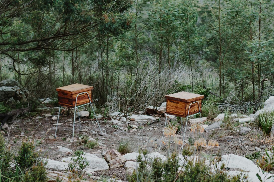 api turizam novi vikend hit u hravtskoj pcele med u hrvatskoj