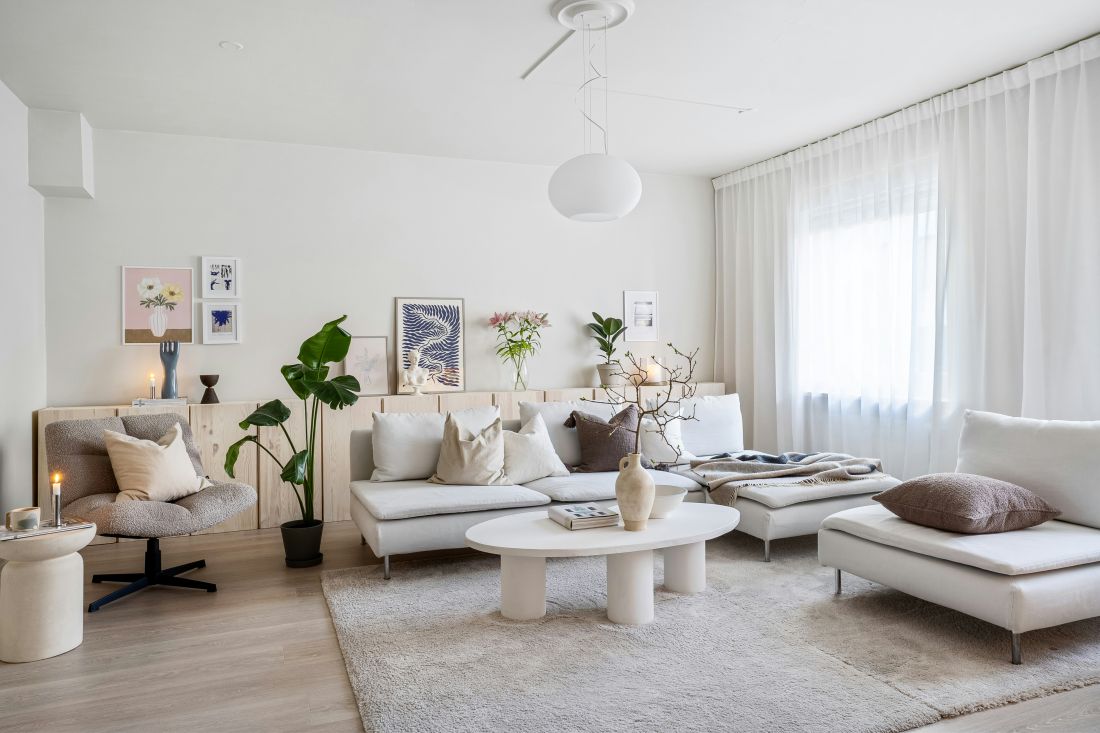 biljke za dom difuzor za dnevni boravak stan interijer