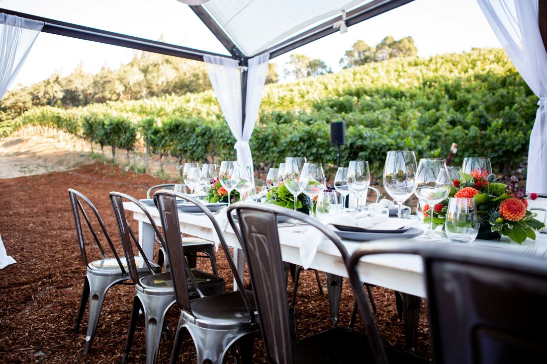 kalifornija gradic St Helena resort vinogradi Vineyard Country Inn