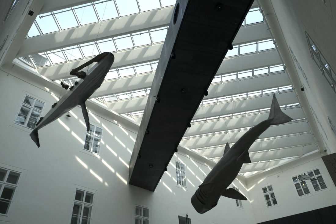 photosyntesis-izlozba-1