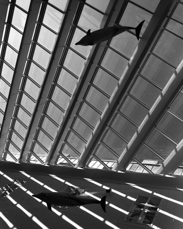 photosyntesis-izlozba-2