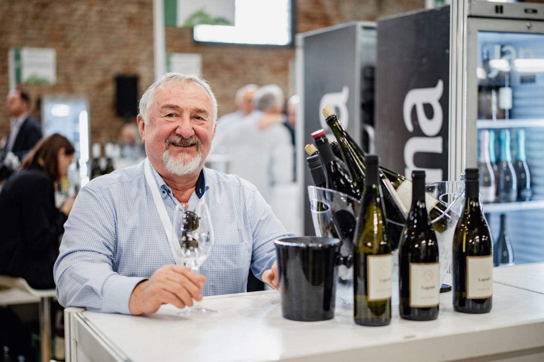 vinar-ivan-velikanovic