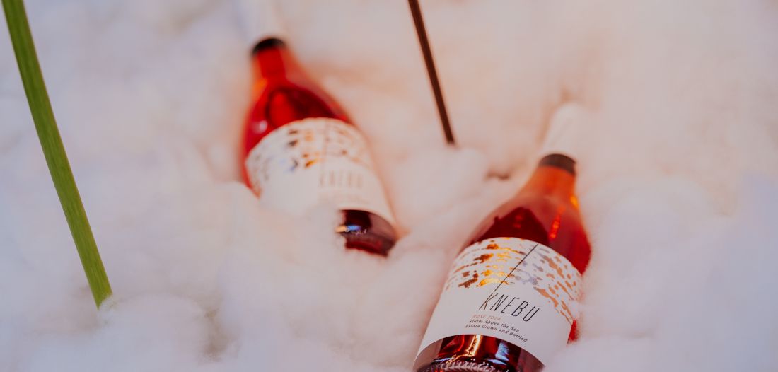 Pogledajte kako je bilo na 13. izdanju PINK DAY Zagreb festivala u Laubi