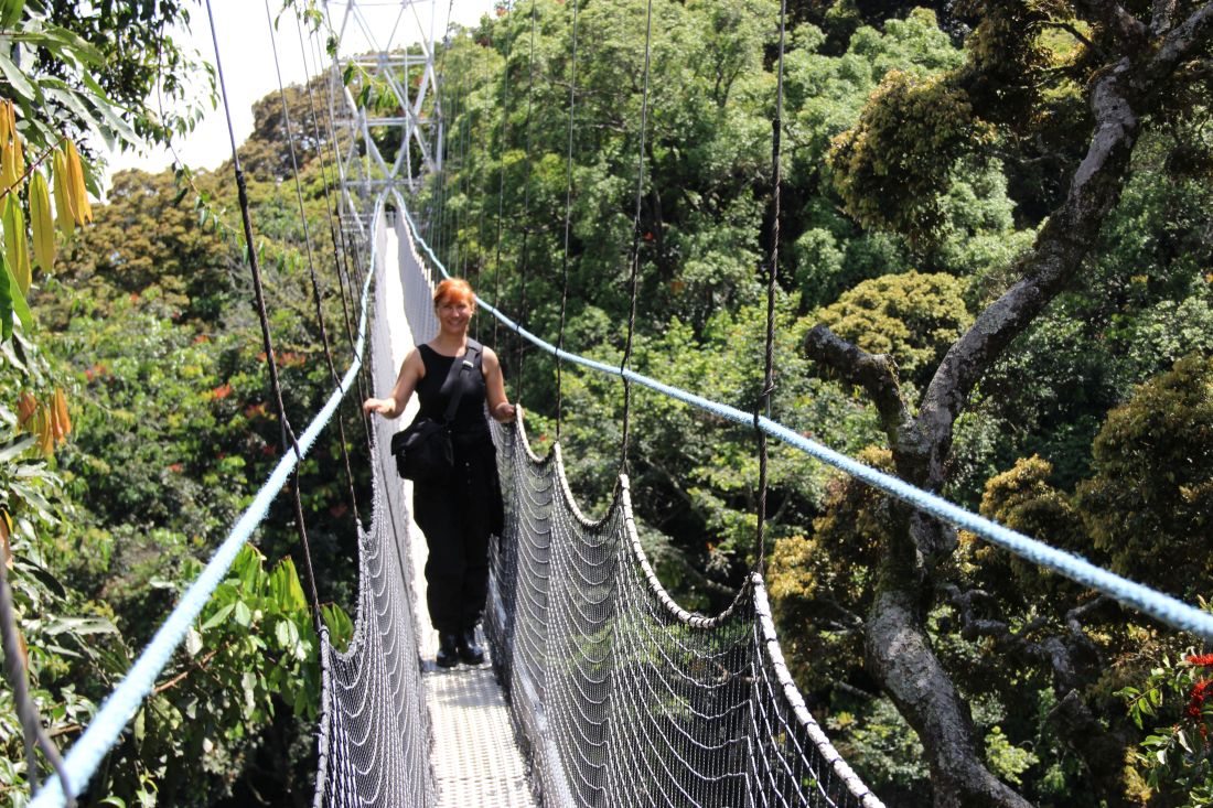 Nyungwe Forest canopy walk diana miklos ruanda rwanda afrika