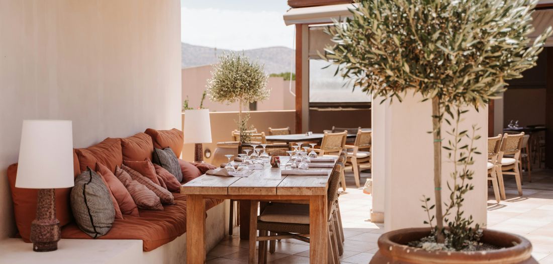 brzorasuce biljke za paravan terasu balkon vrt