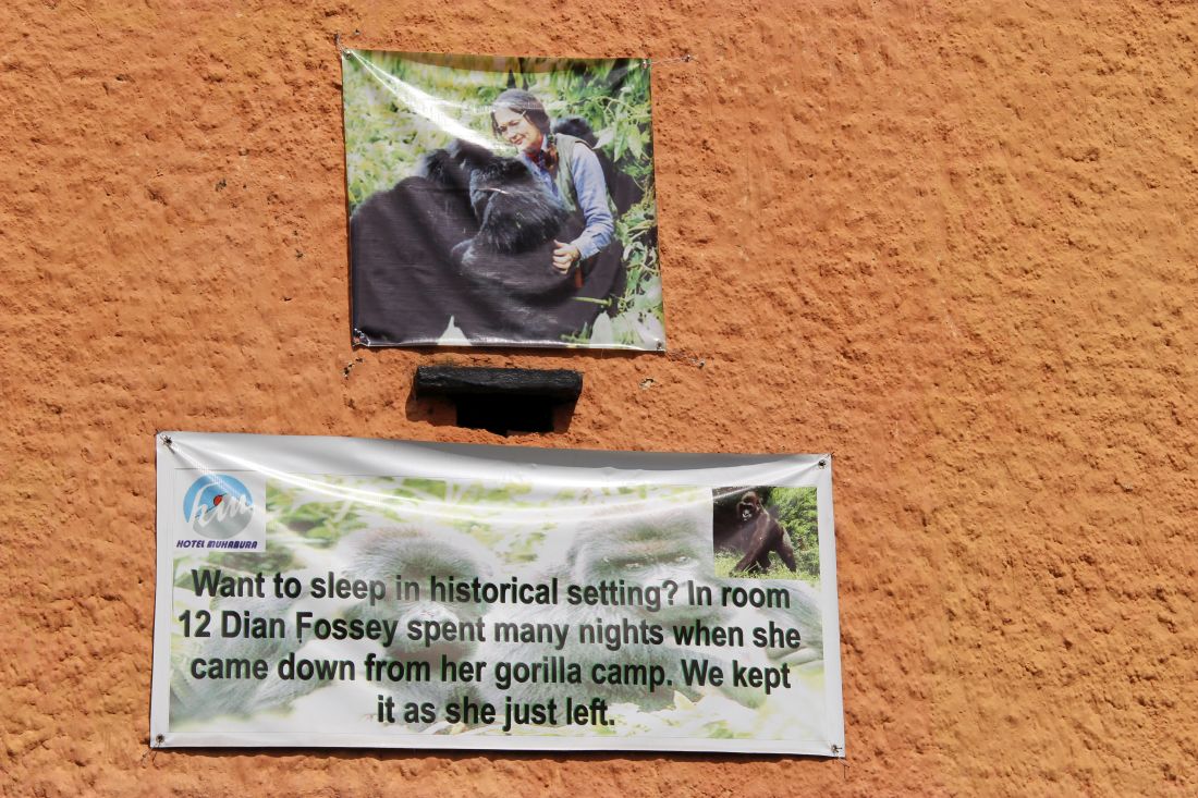 dian fossey soba u kojoj je boravila ruanda rwanda gorile