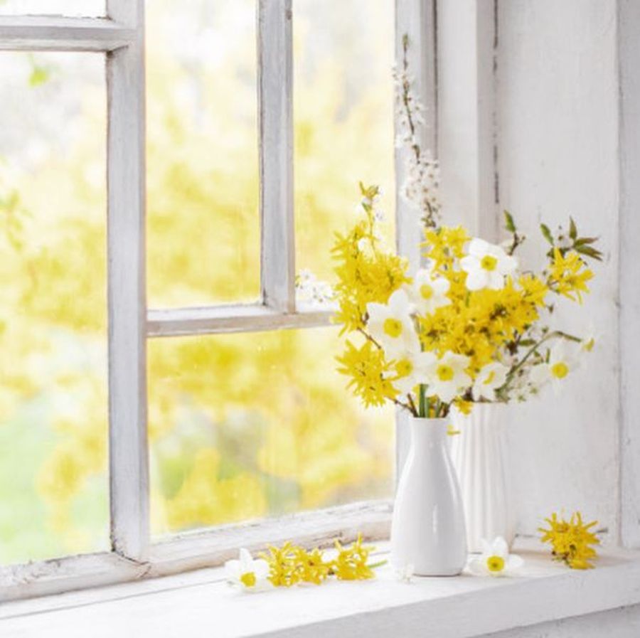 narcise cvijet cvijece aranziranje tehnike slaganja cvijeca