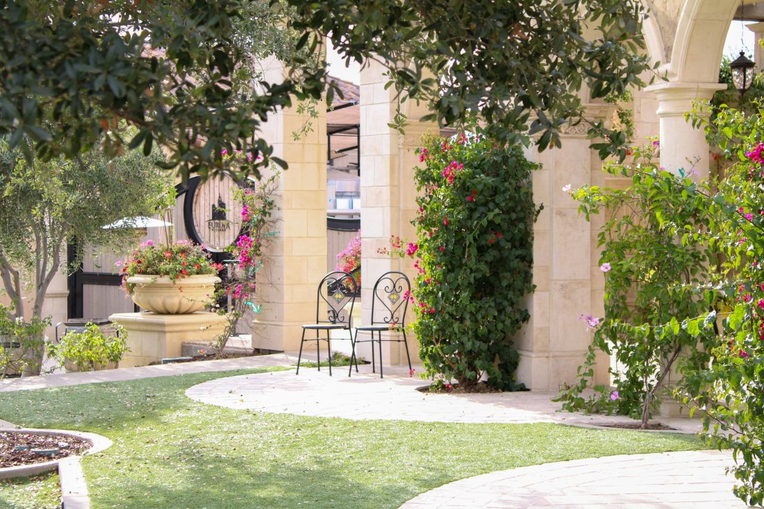 oleandar gdje i kako uspjeva