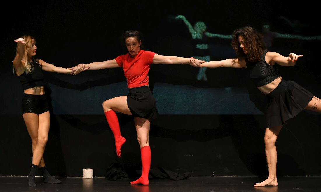 recenzija predstava sve sto nisam znala reci