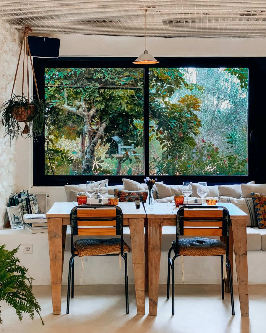 ukrasno bilje brzorasuci grmovi za bazene terase vrtove